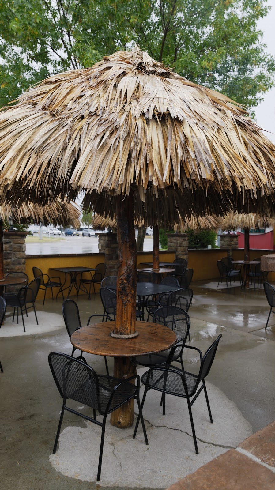 El Potro Mexican cafe Lawrence